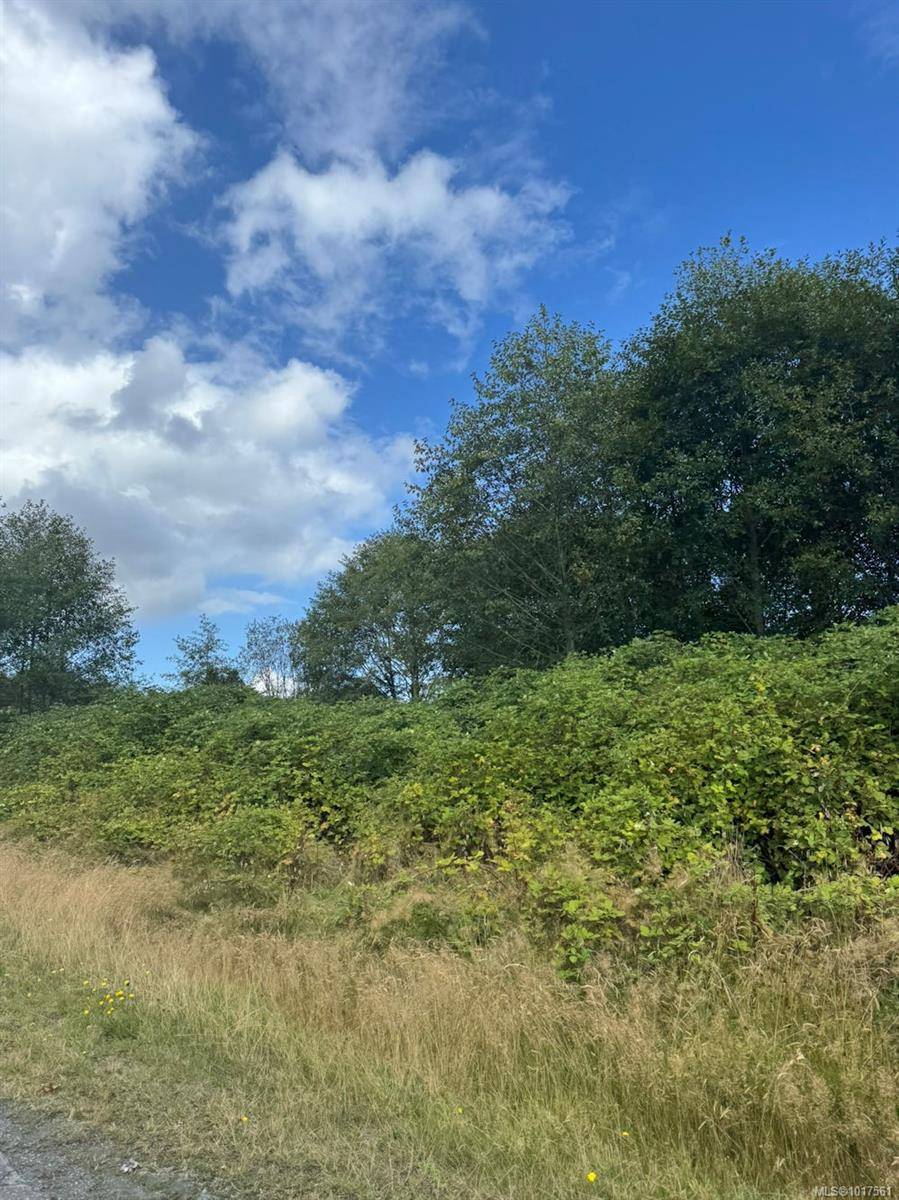 Port Hardy, BC V0N 2P0,6350 Hardy Bay Rd