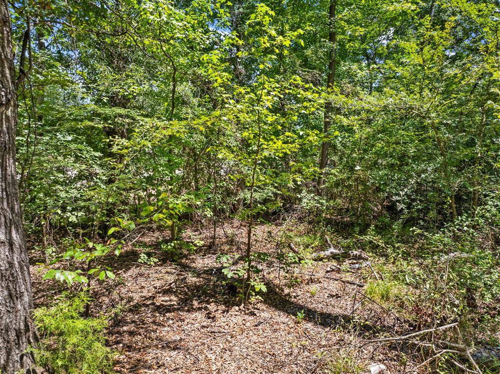 Talco, TX 75487,Tract 1 Highway 271