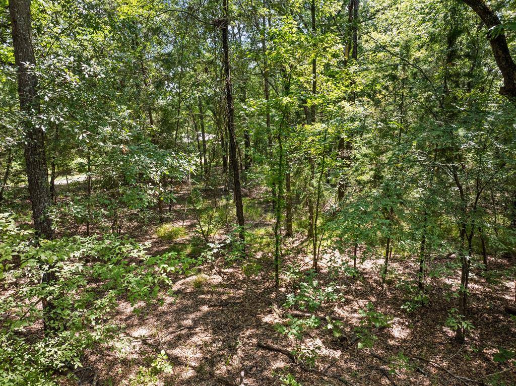 Talco, TX 75487,Tract 1 Highway 271