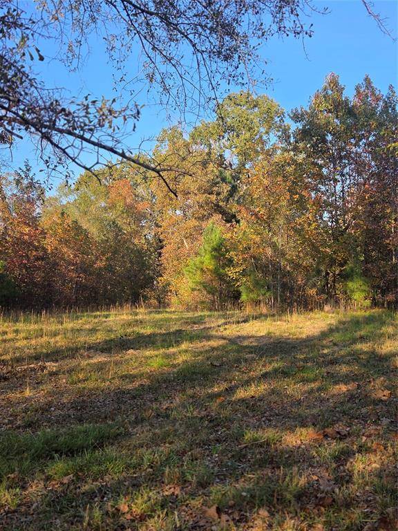 Clarksville, TX 75426,5.5 Acres TBD County Road 3117