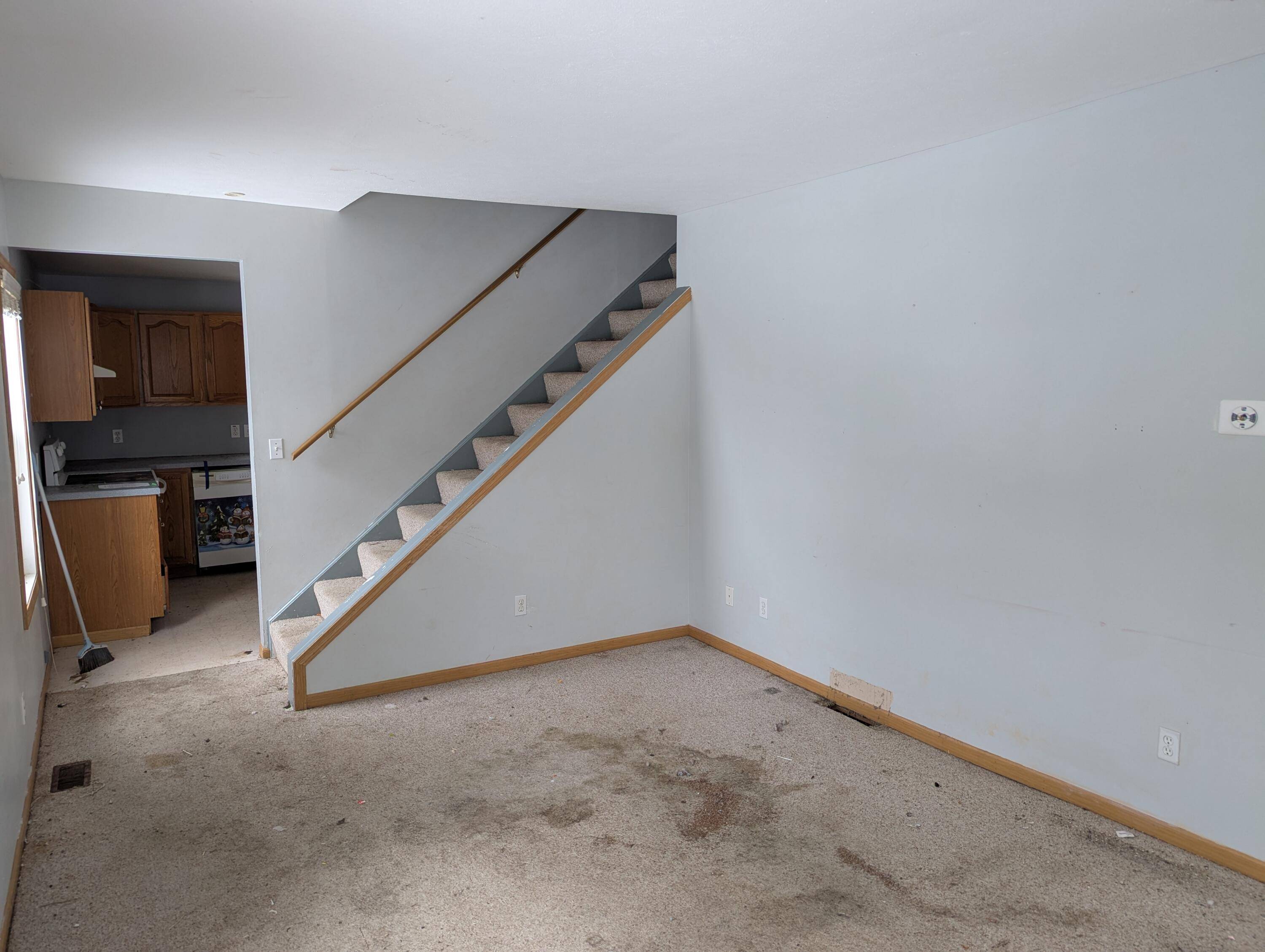 Allegan, MI 49010,119 Park AVE