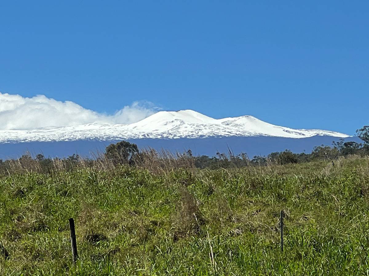 Ka'ie'ie Road, Papaikou, HI 96781