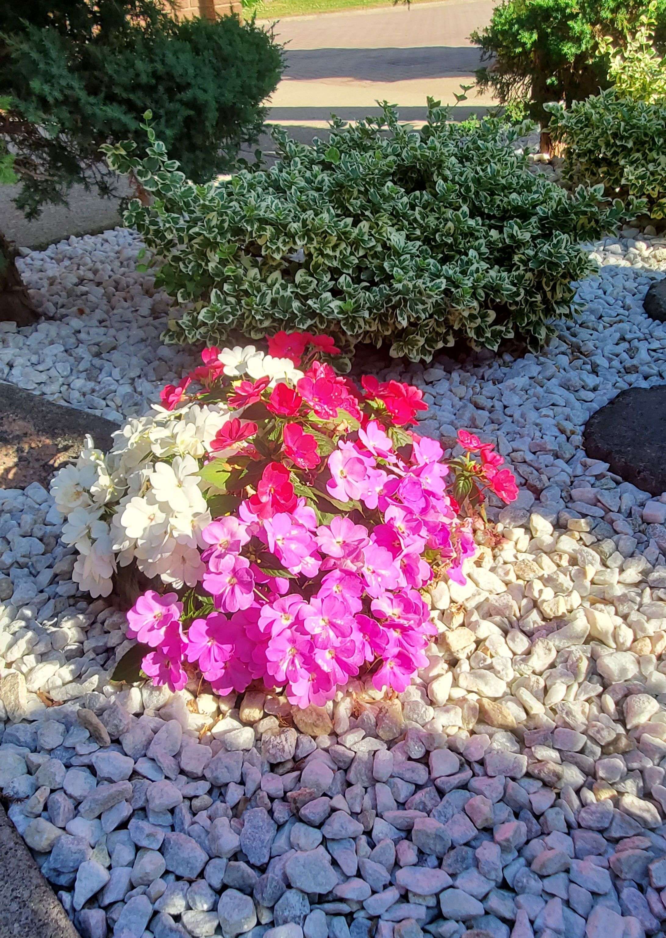 Vaughan, ON L4L 2P8,44 Wigwoss DR