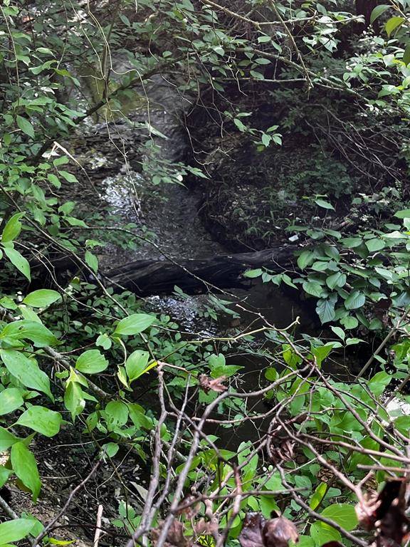 Cedar Hill, TX 75104,2200 Bear Creek Road