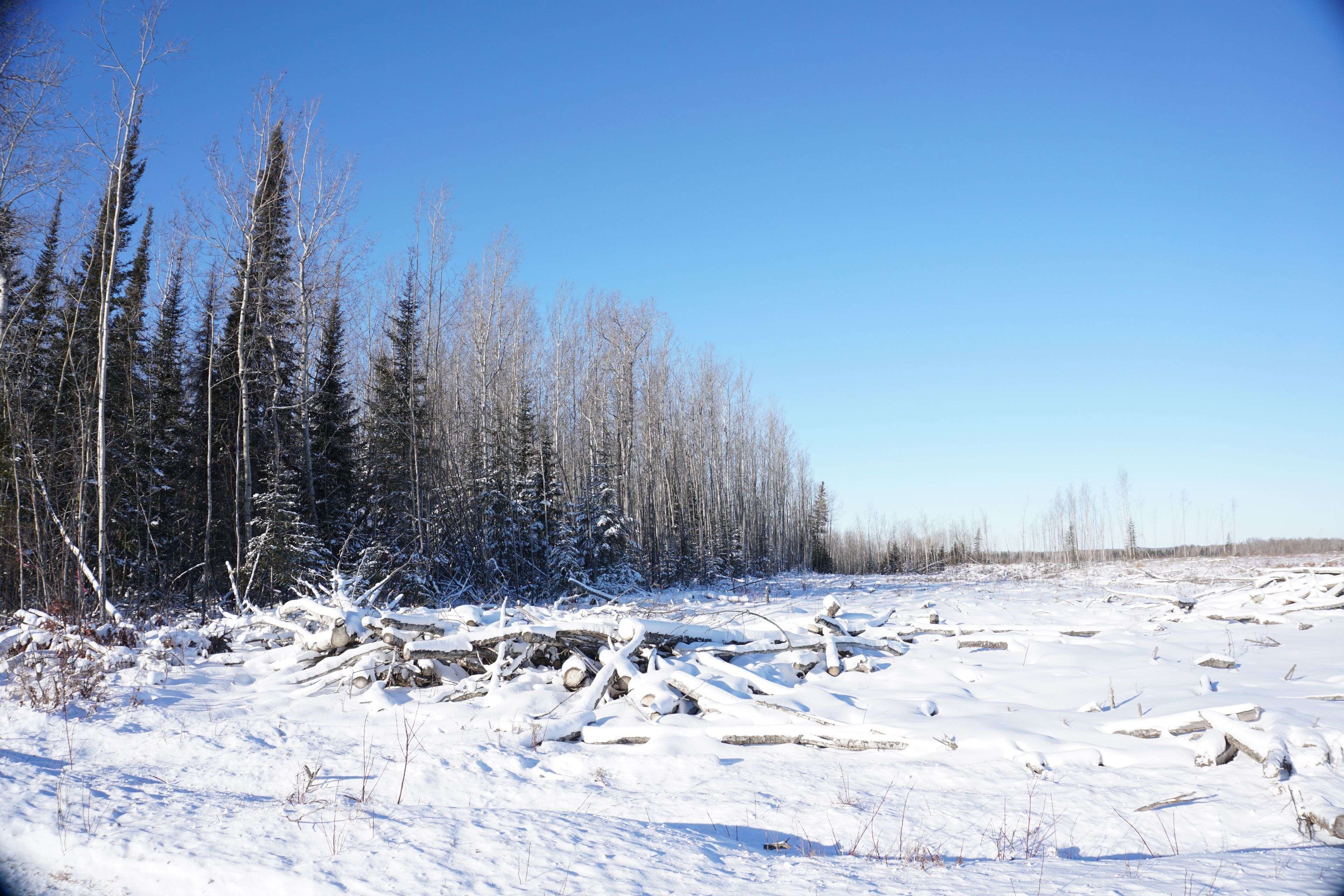 Englehart, ON P0J 1B0,208181 Cabin RD