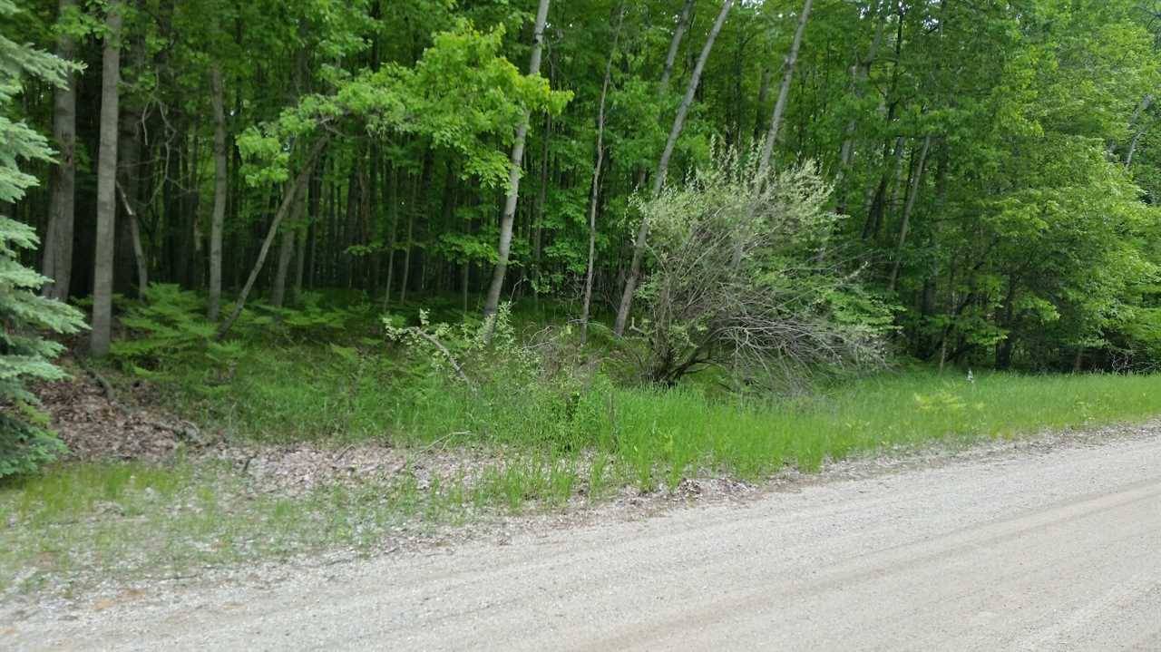 Stanwood, MI 49346,8136 Highland TRL