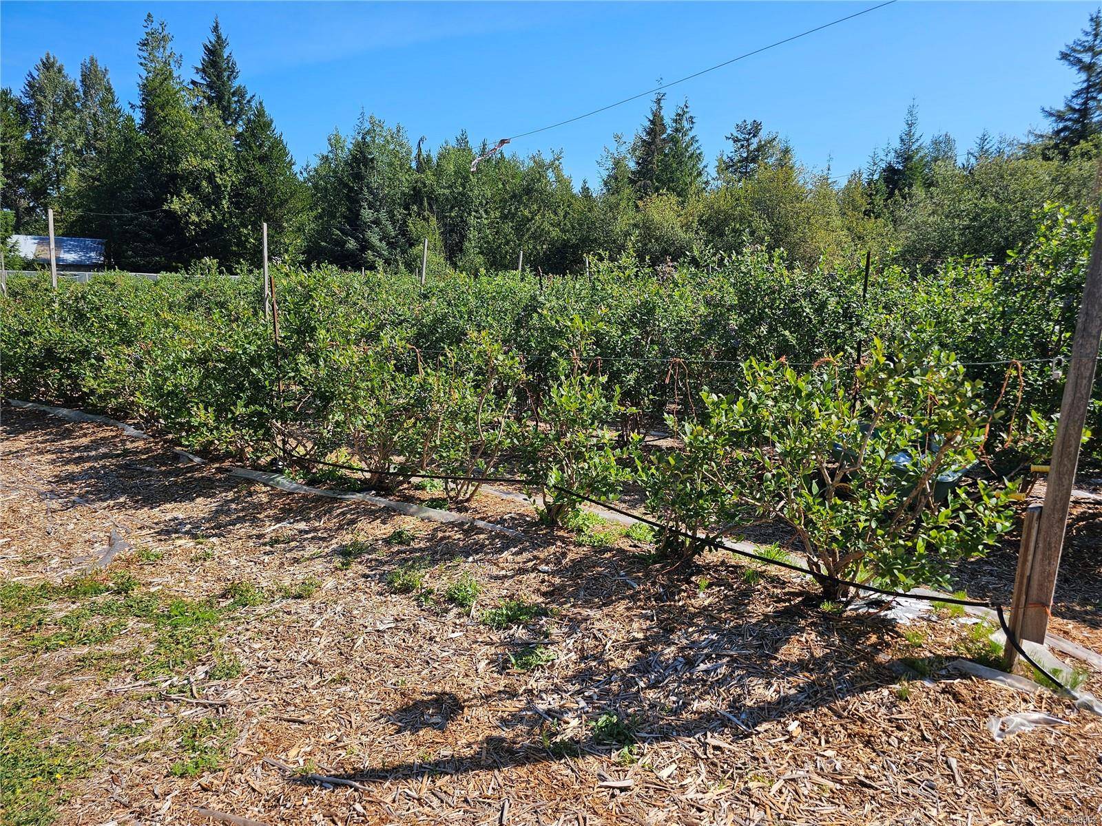 Courtenay, BC V9J 1P2,2156 Coleman Rd