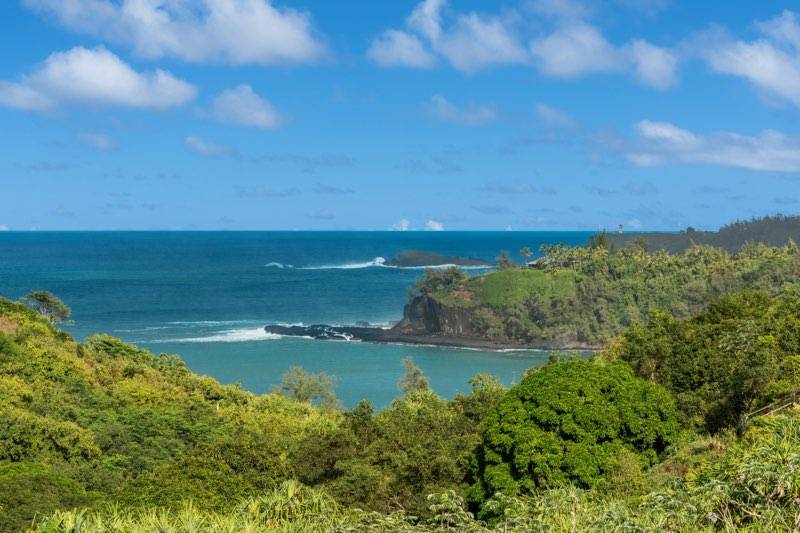 Kilauea, HI 96754,4471-G ANINI VISTA DR