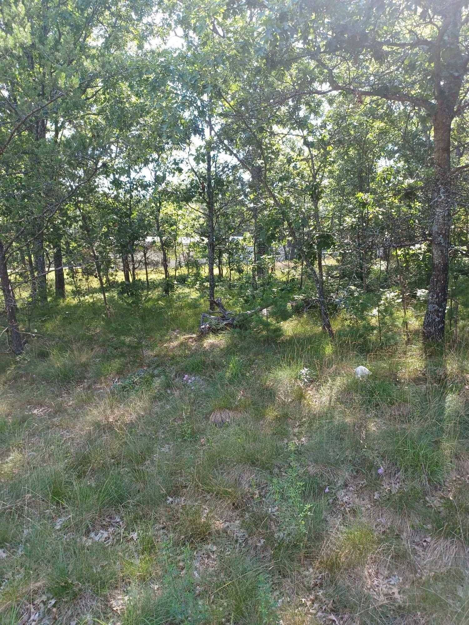 Oscoda, MI 48750,Indian