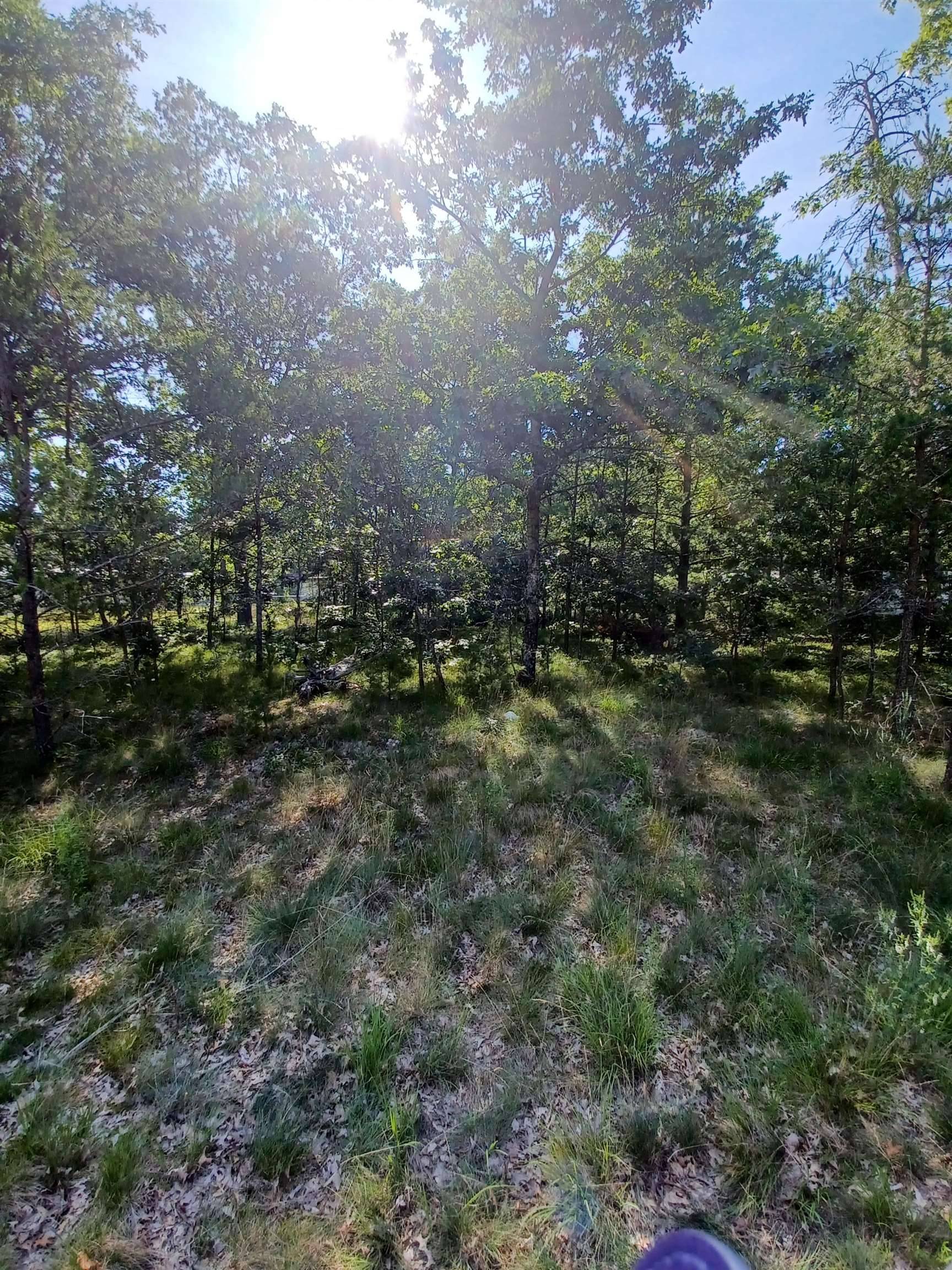 Oscoda, MI 48750,Indian