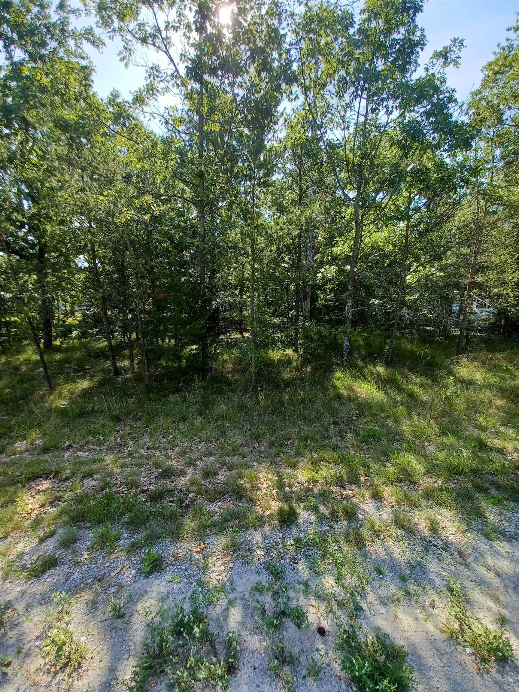 Oscoda, MI 48750,Indian