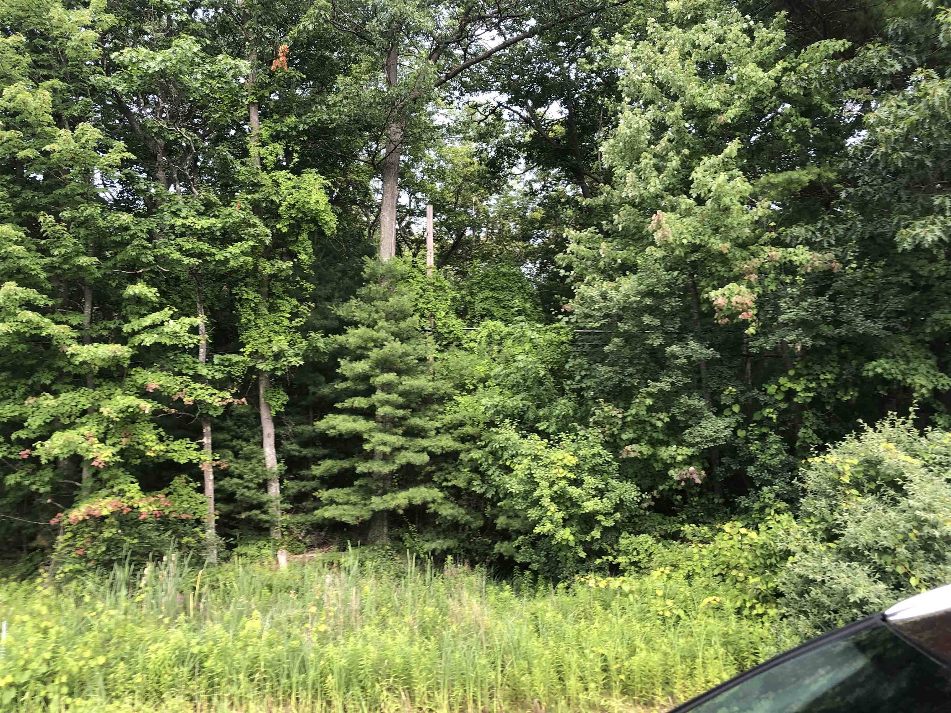 0 US-23, Baldwin Twp, MI 48730