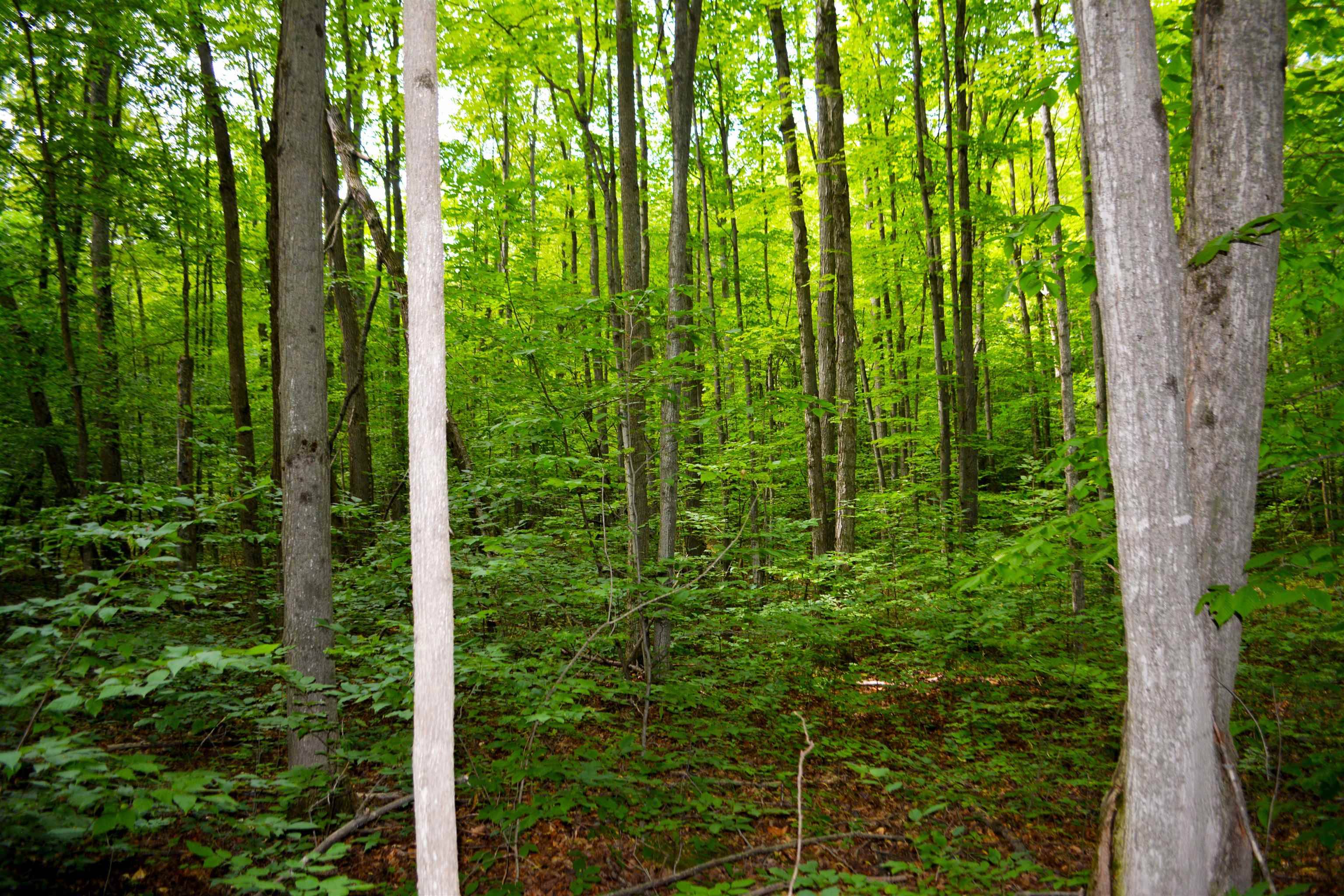 Kalkaska, MI 49646,V/L Heller