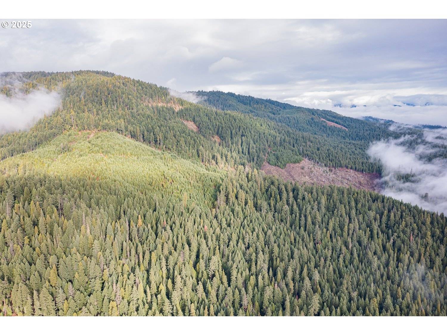 Prospect, OR 97536,RIVER RD