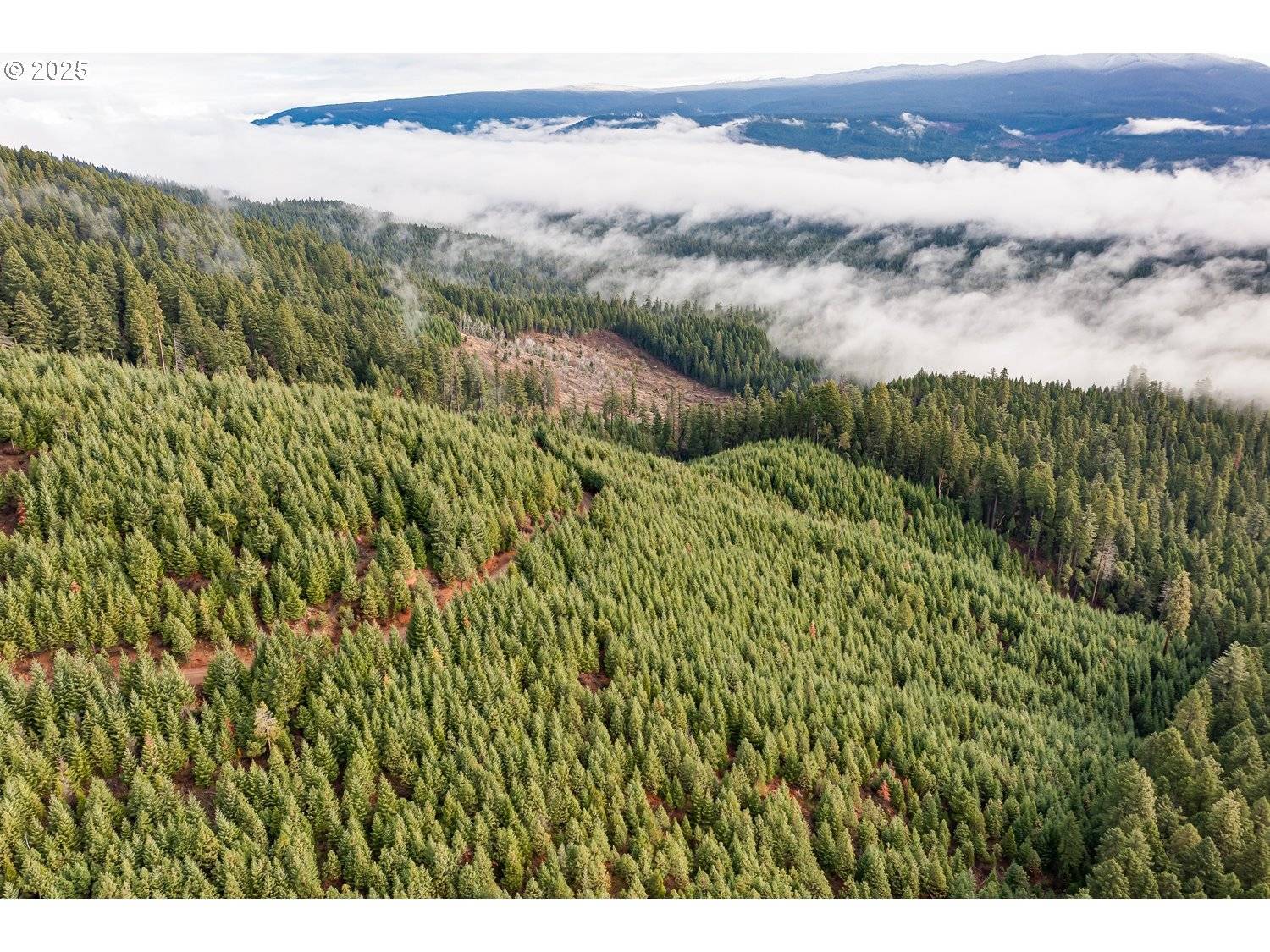 Prospect, OR 97536,RIVER RD