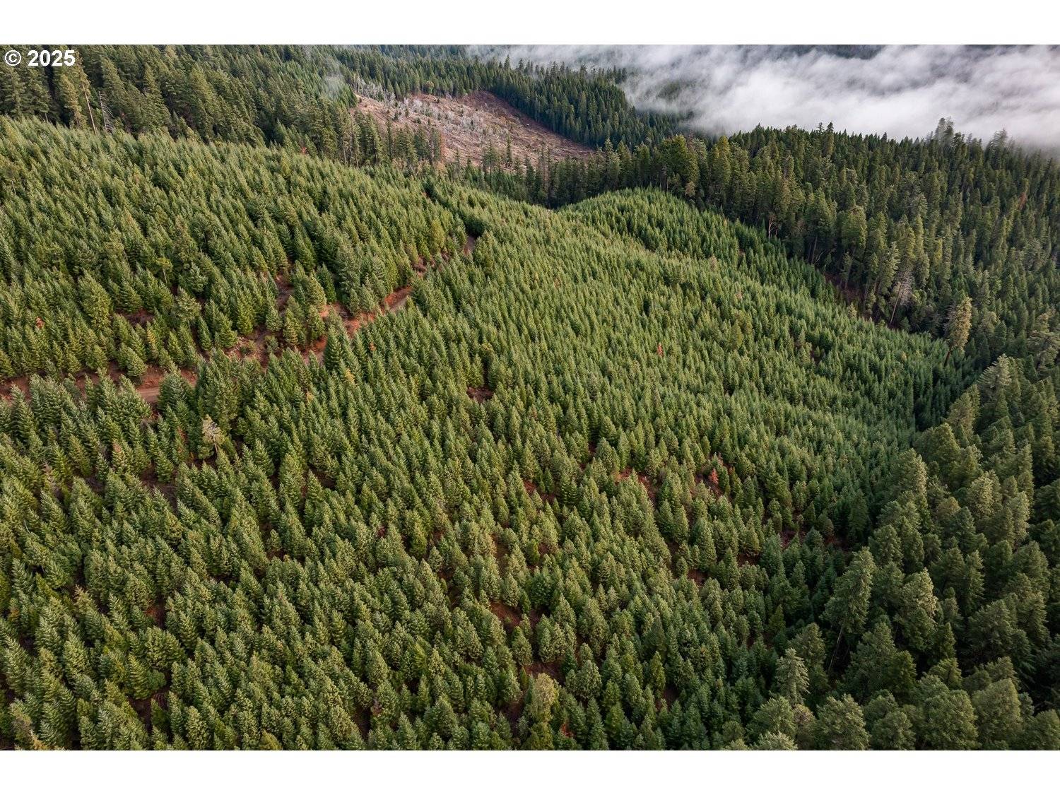 Prospect, OR 97536,RIVER RD