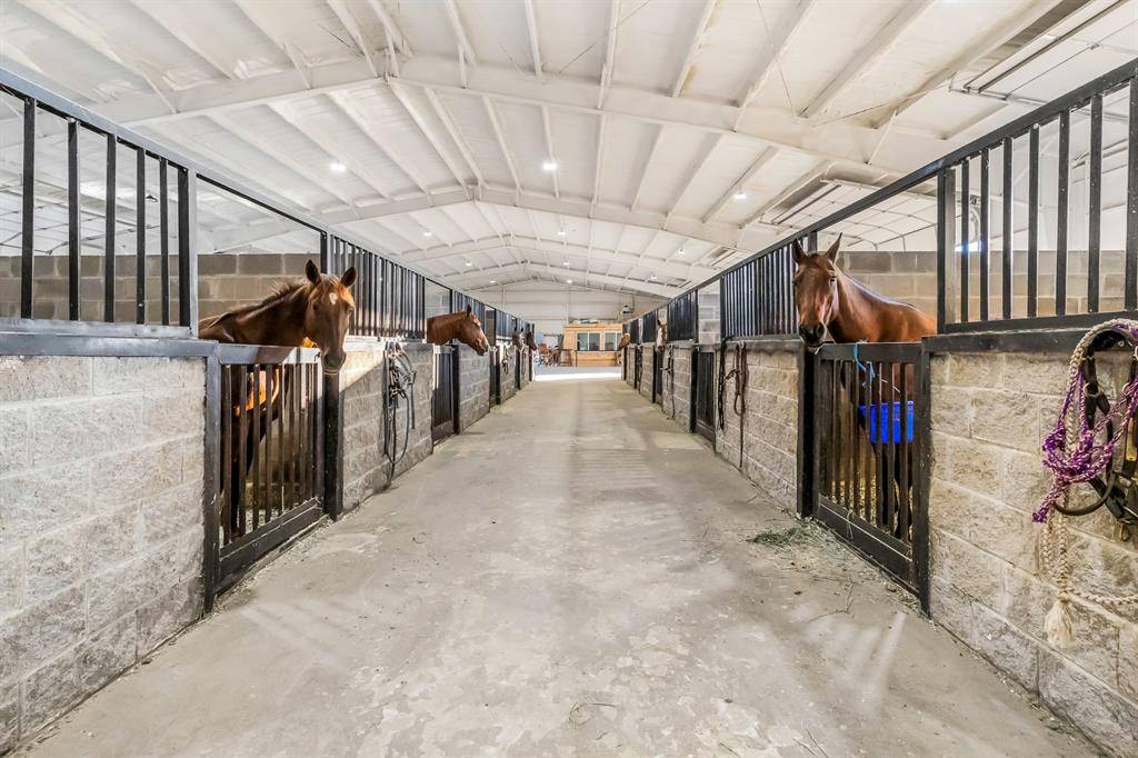 Stephenville, TX 76401,6670 A Fm 2303