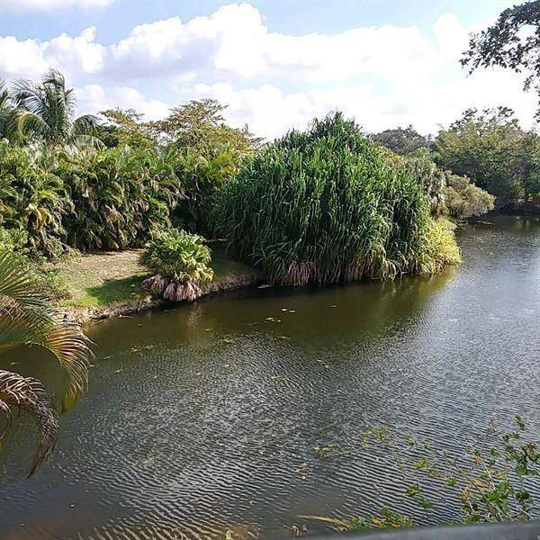 Coral Springs, FL 33065,4309 Coral Springs Dr #2-G