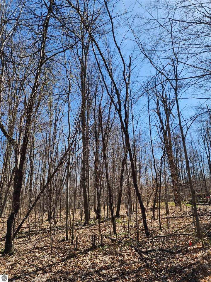 Mancelona, MI 49659,VL Cliffmont DR