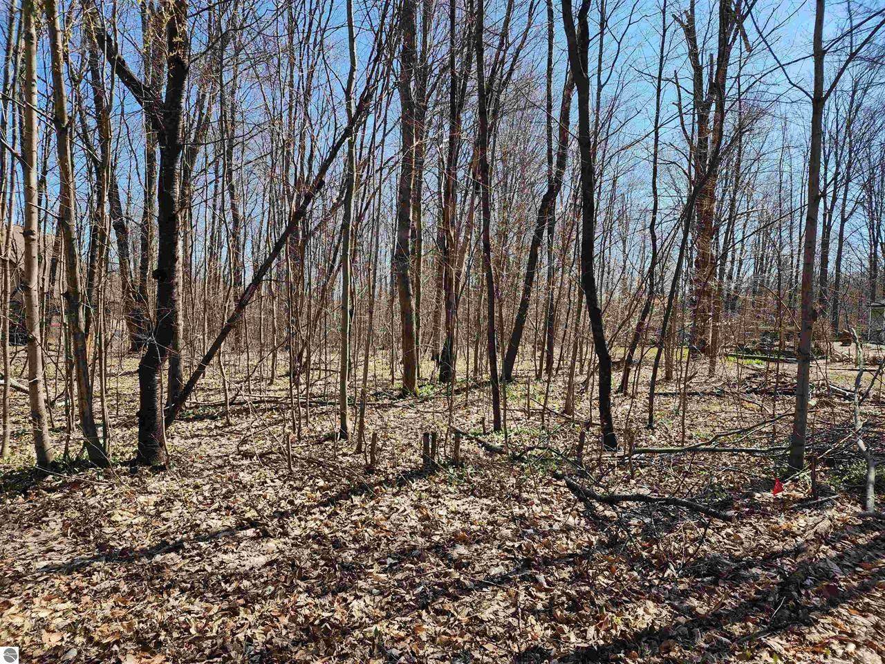 Mancelona, MI 49659,VL Cliffmont DR