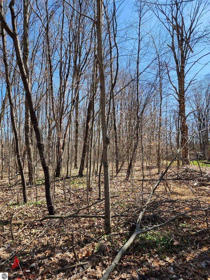 Mancelona, MI 49659,VL Cliffmont DR