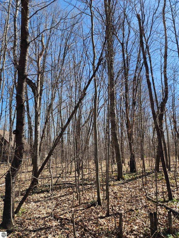 Mancelona, MI 49659,VL Cliffmont DR