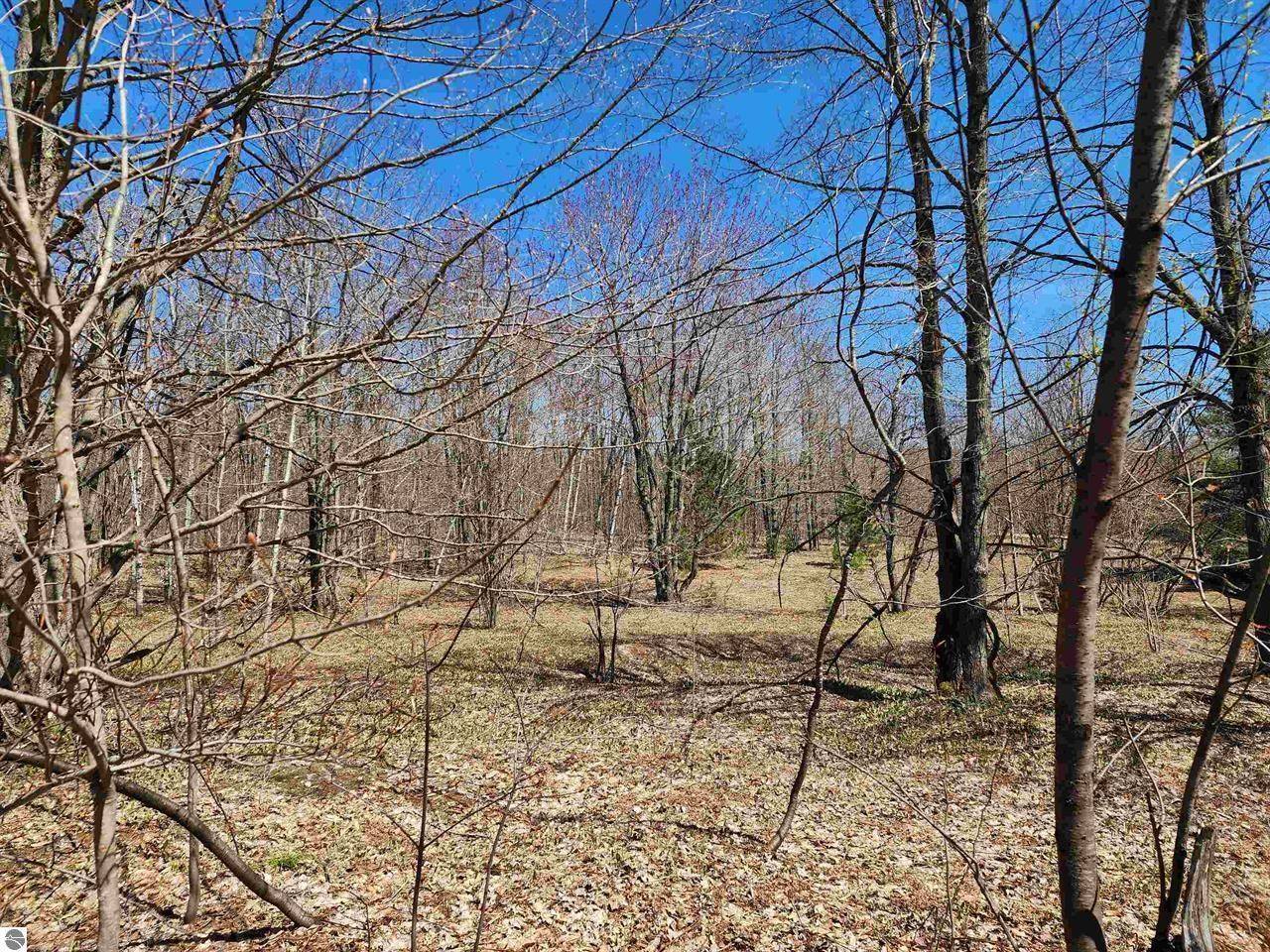 Mancelona, MI 49659,VL Wilamont CIR