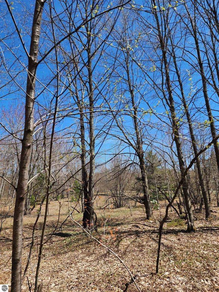 Mancelona, MI 49659,VL Wilamont CIR