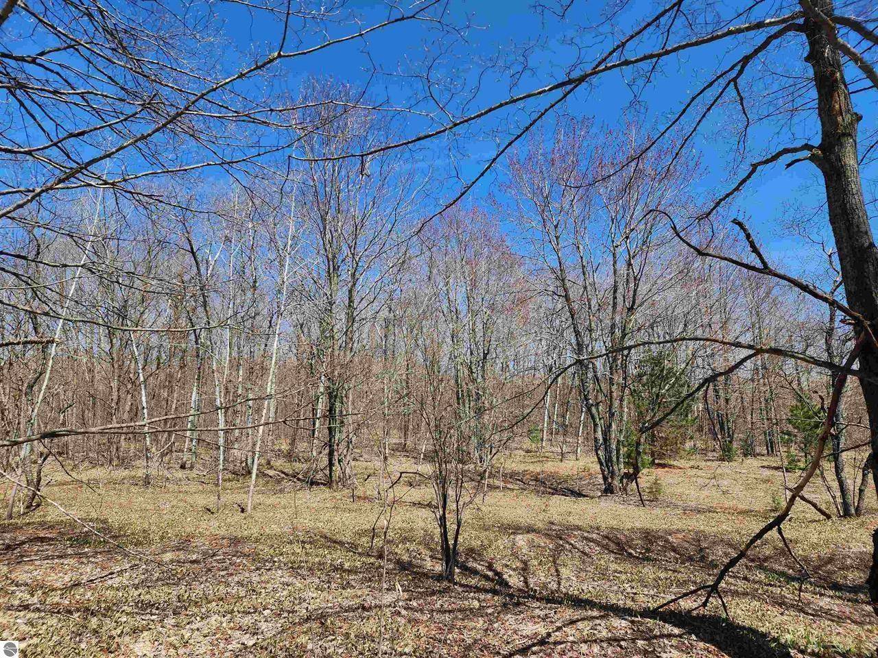 Mancelona, MI 49659,VL Wilamont CIR