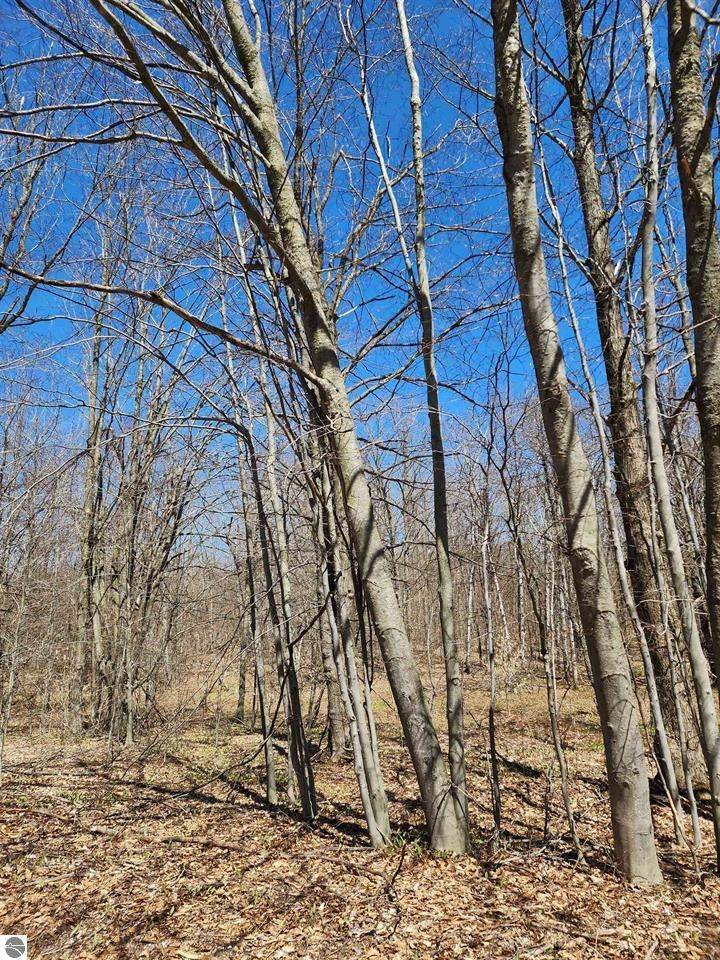 Mancelona, MI 49659,VL Wilamont CIR