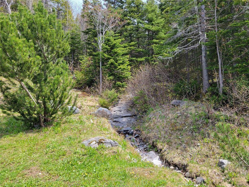 Massey Drive, NL A2H 7A6,19 Prince Charles Road