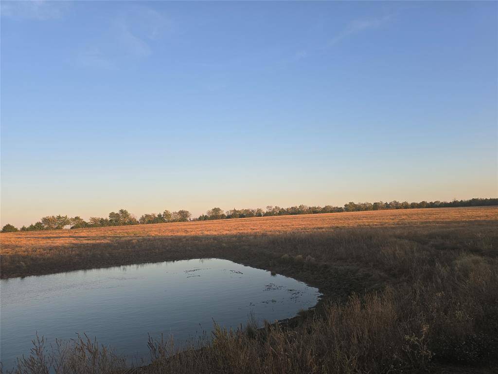 Honey Grove, TX 75446,801 COUNTY ROAD 36010