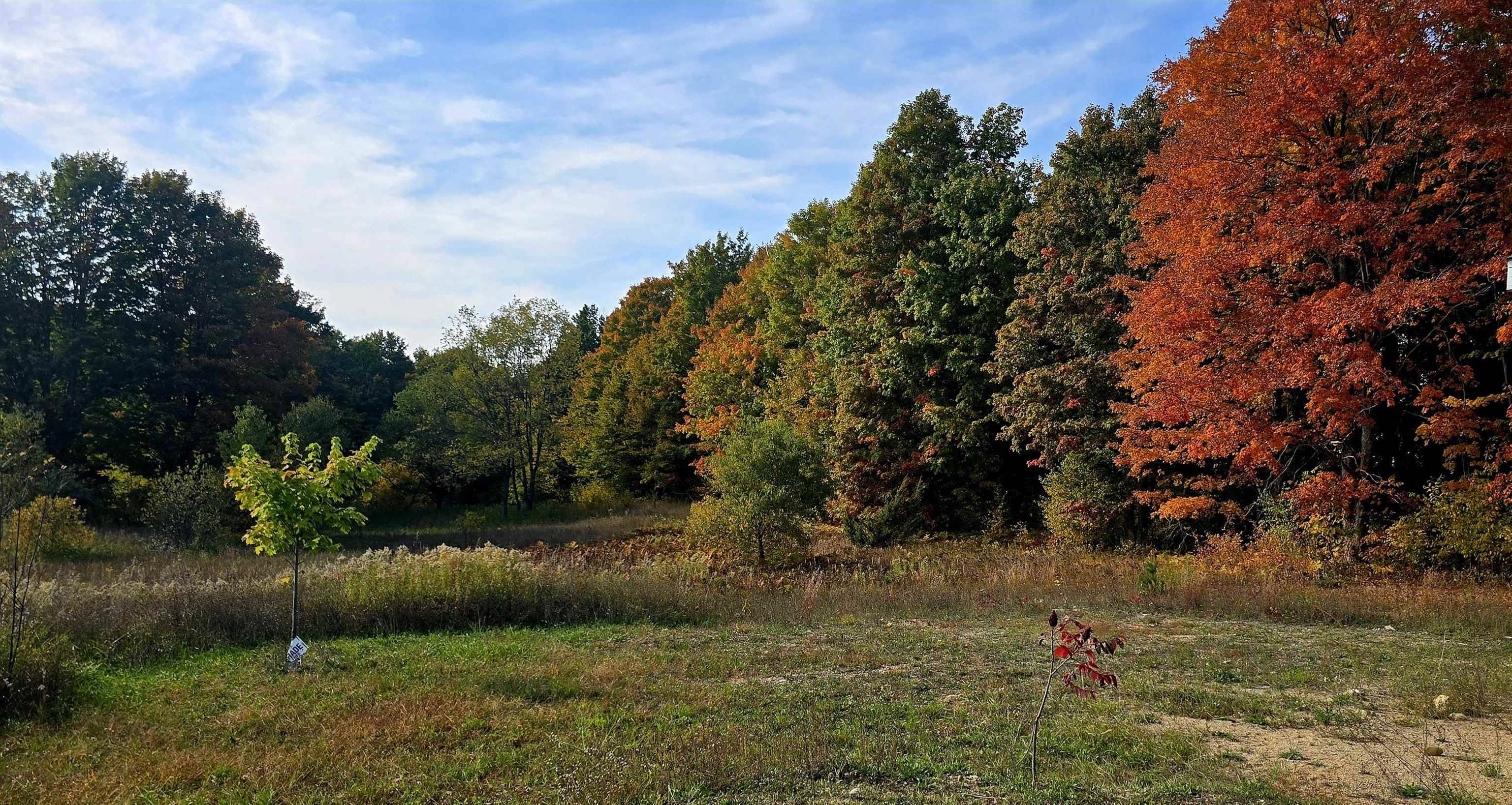 Alden, MI 49612,303 Westwood Road, Nw