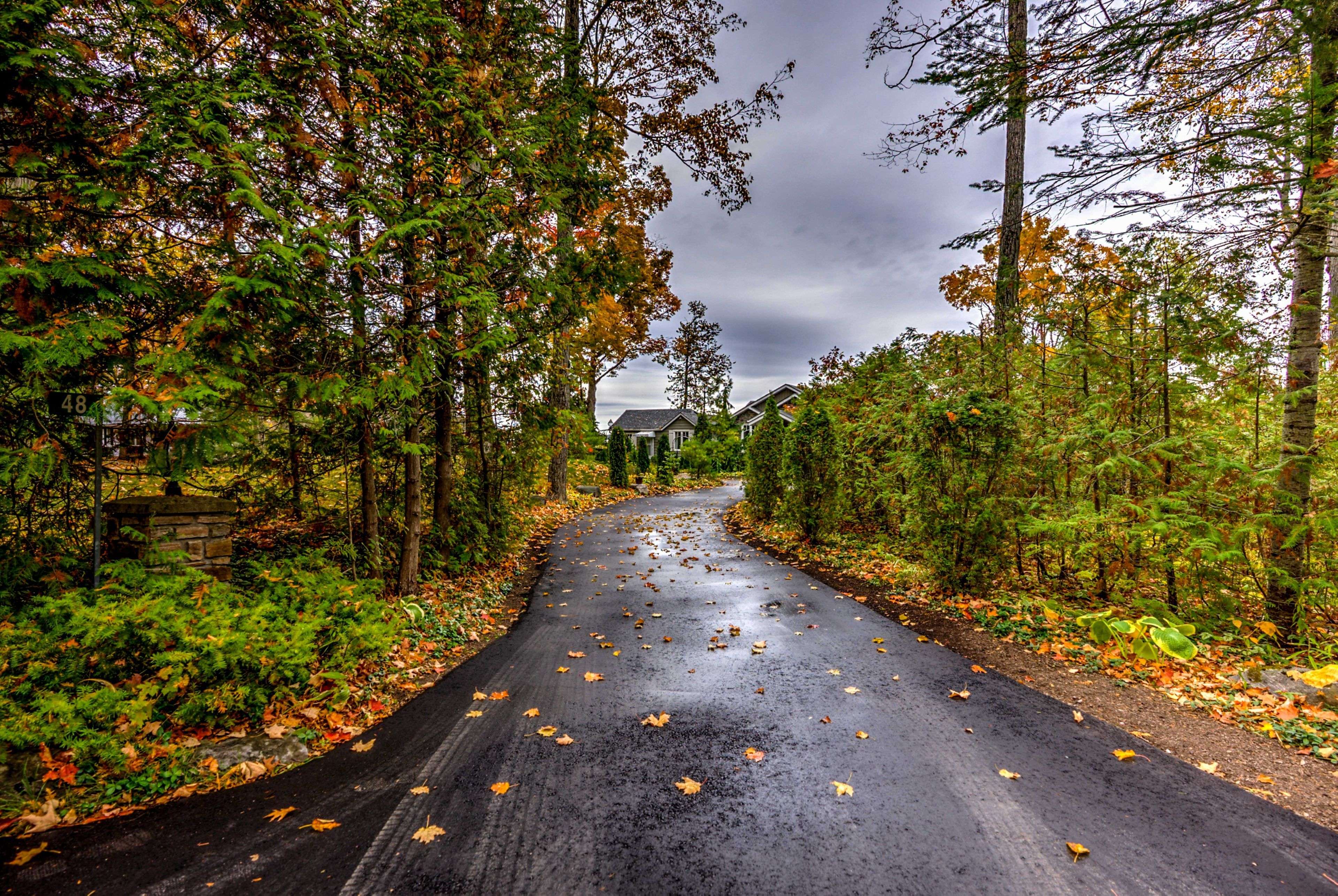 Kawartha Lakes, ON K0M 2B0,48 Maple AVE