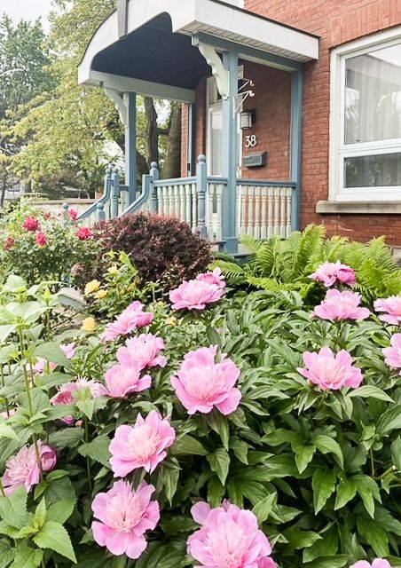 Kingston, ON K7K 1G4,38 Ordnance ST