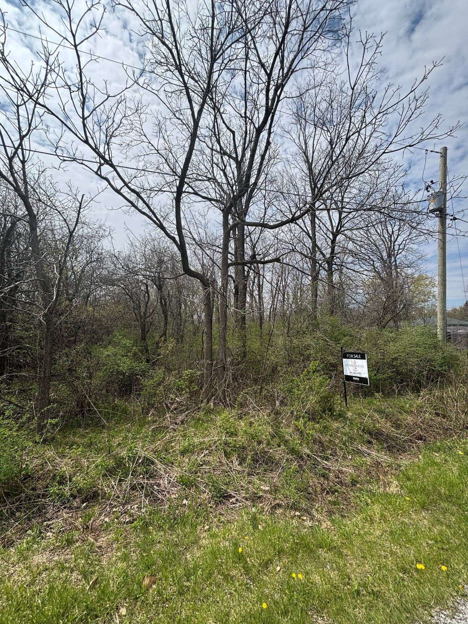 Fort Erie, ON L2A 5M4,0 Bidwell Pkwy