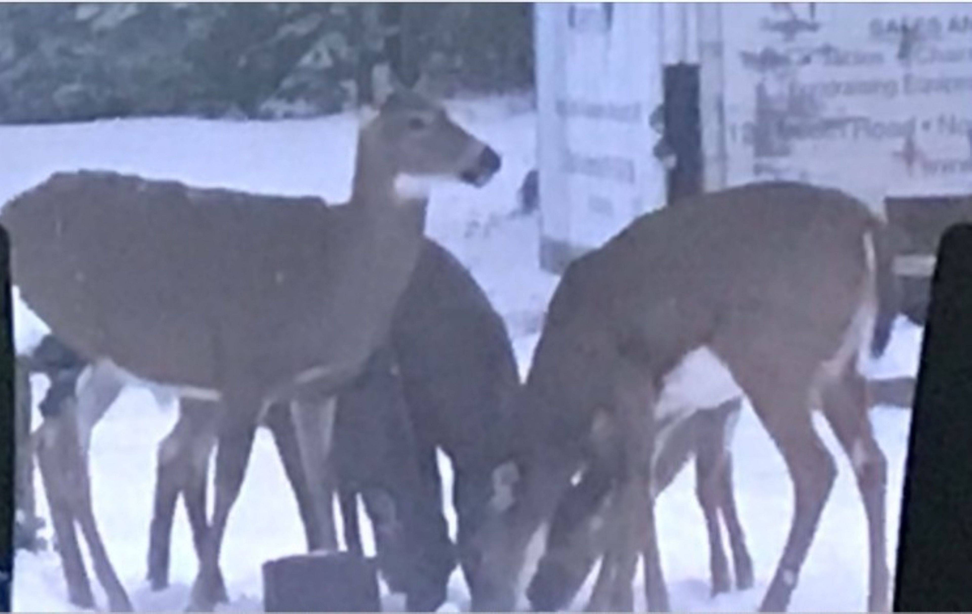 Joly, ON P0A 1Z0,183 Sandhill RD