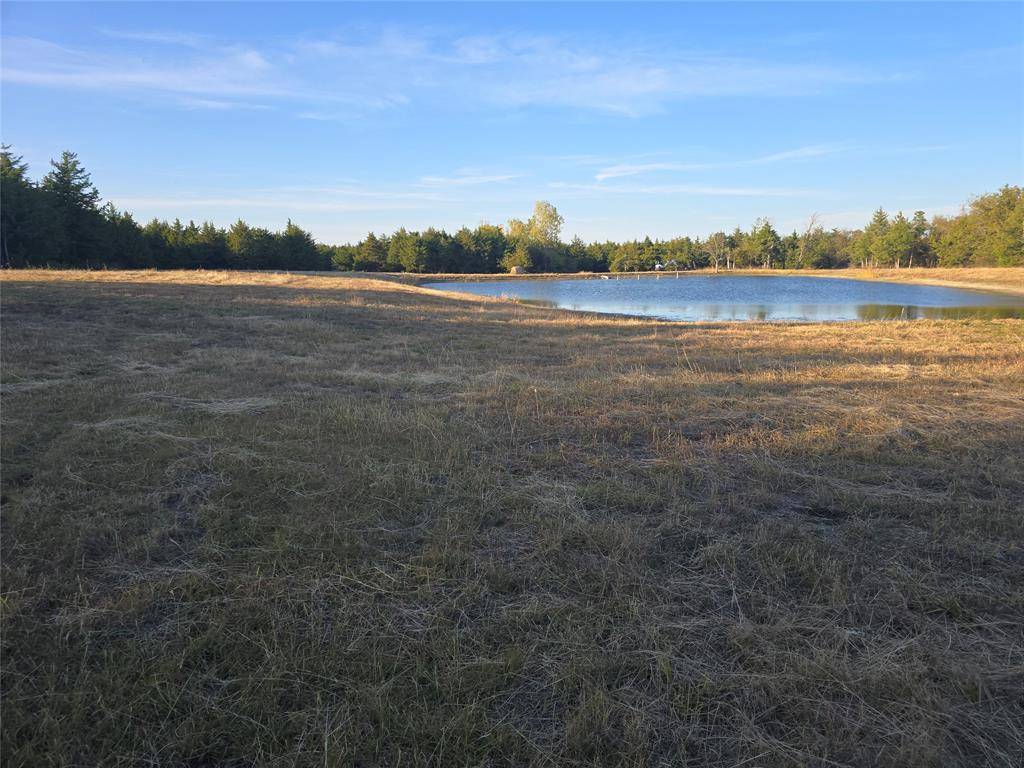 Honey Grove, TX 75446,42Acres FM 38 TX