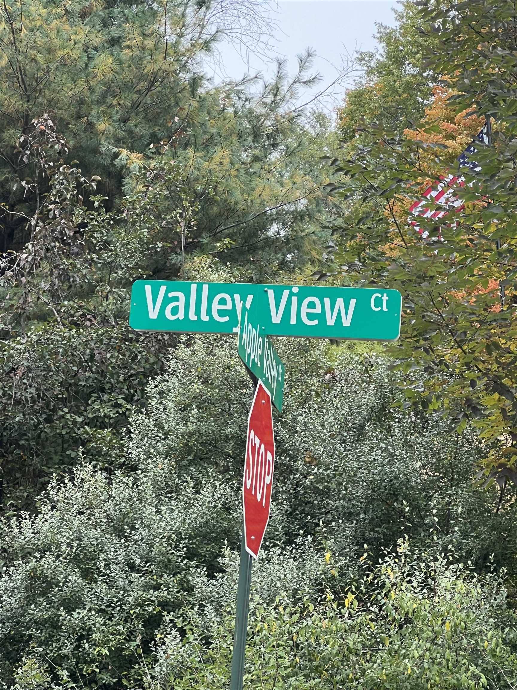 Rapid City, MI 49676,Lot 77 Valley View CT