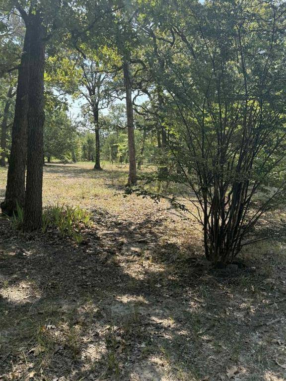 Alba, TX 75410,928 County Road 1660