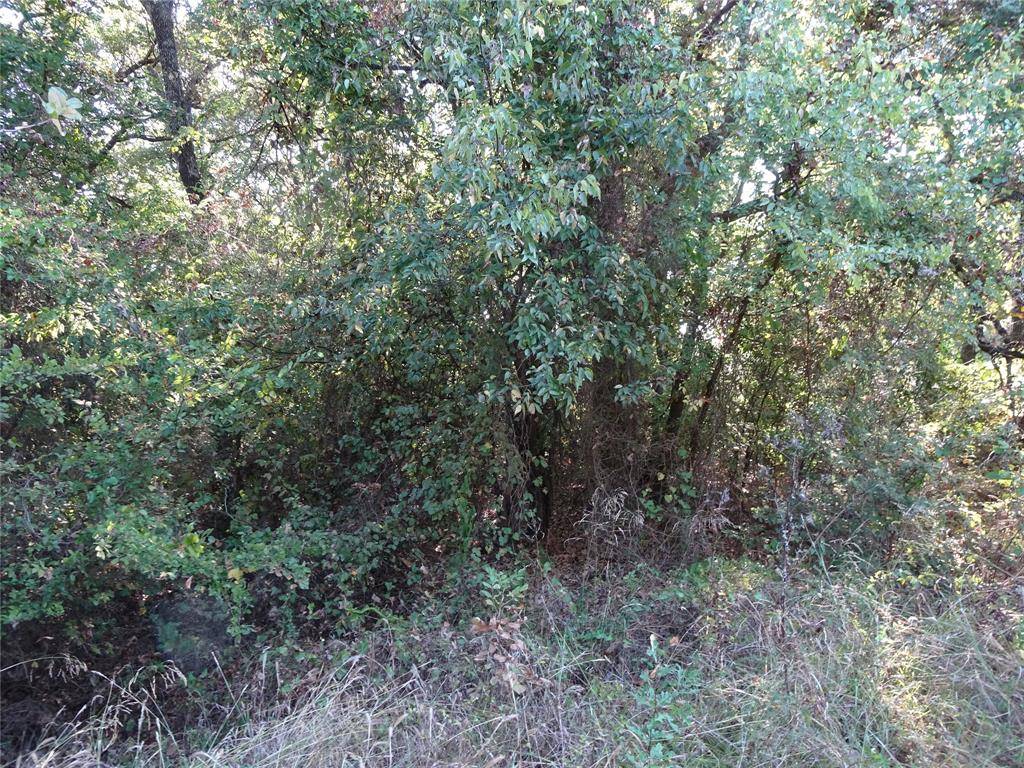 Gun Barrel City, TX 75156,232 Softwind