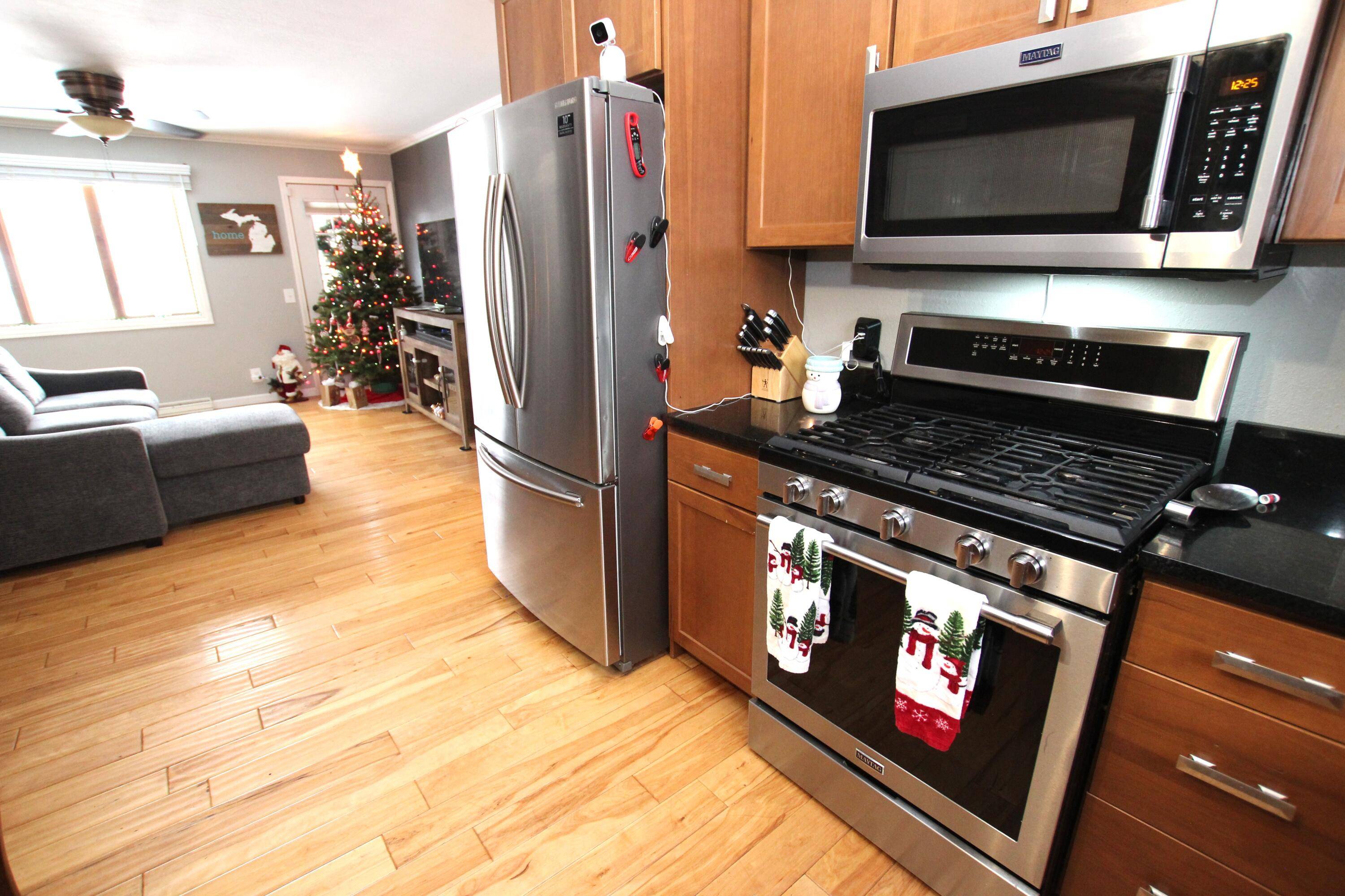 Fremont, MI 49412,313 N Linden AVE