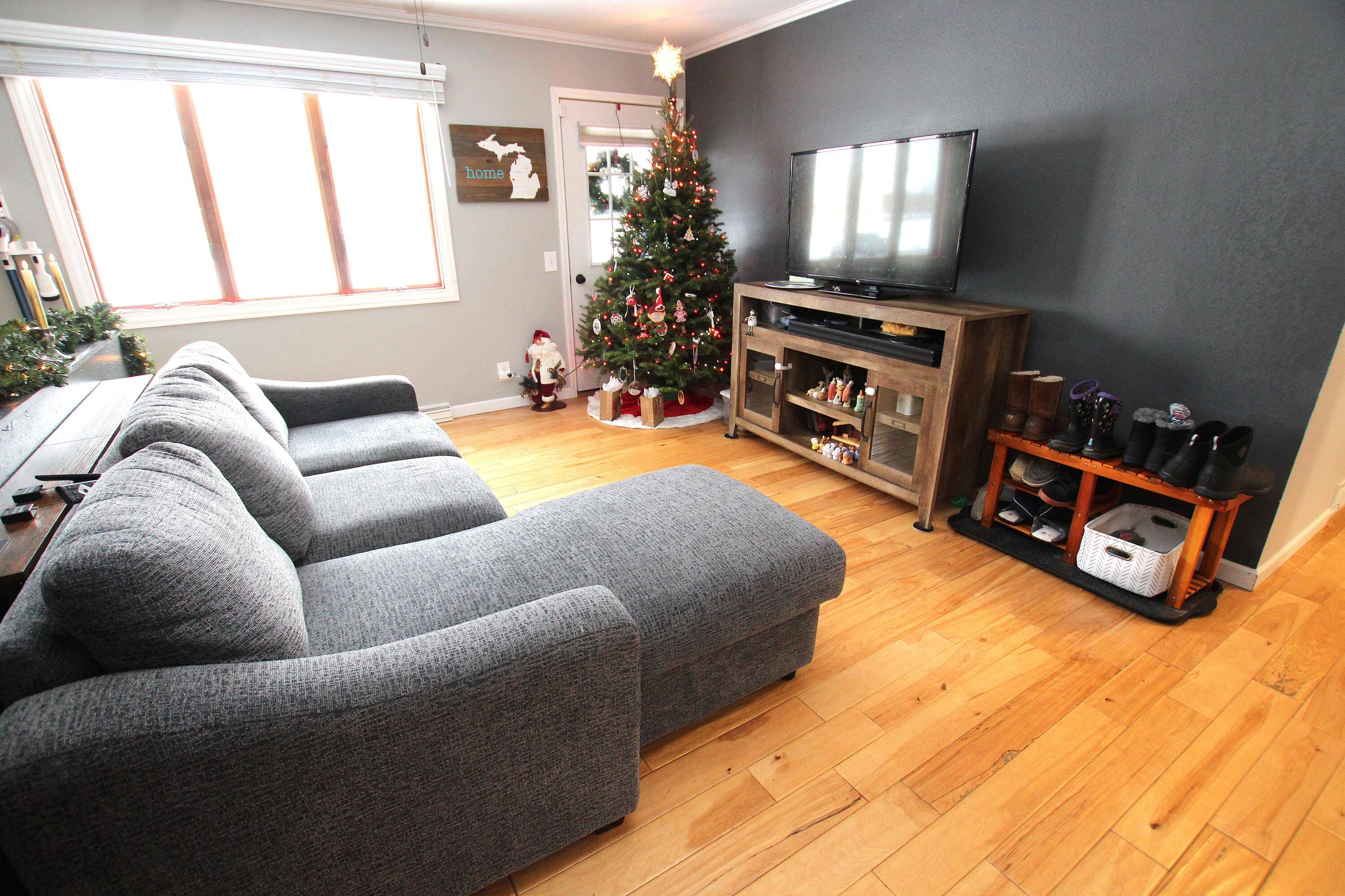 Fremont, MI 49412,313 N Linden AVE