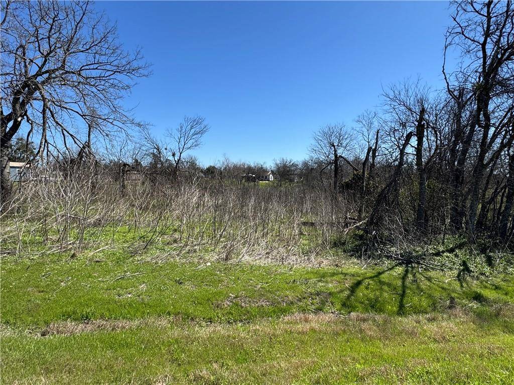 Lott, TX 76656,Lot 6 Hwy 77