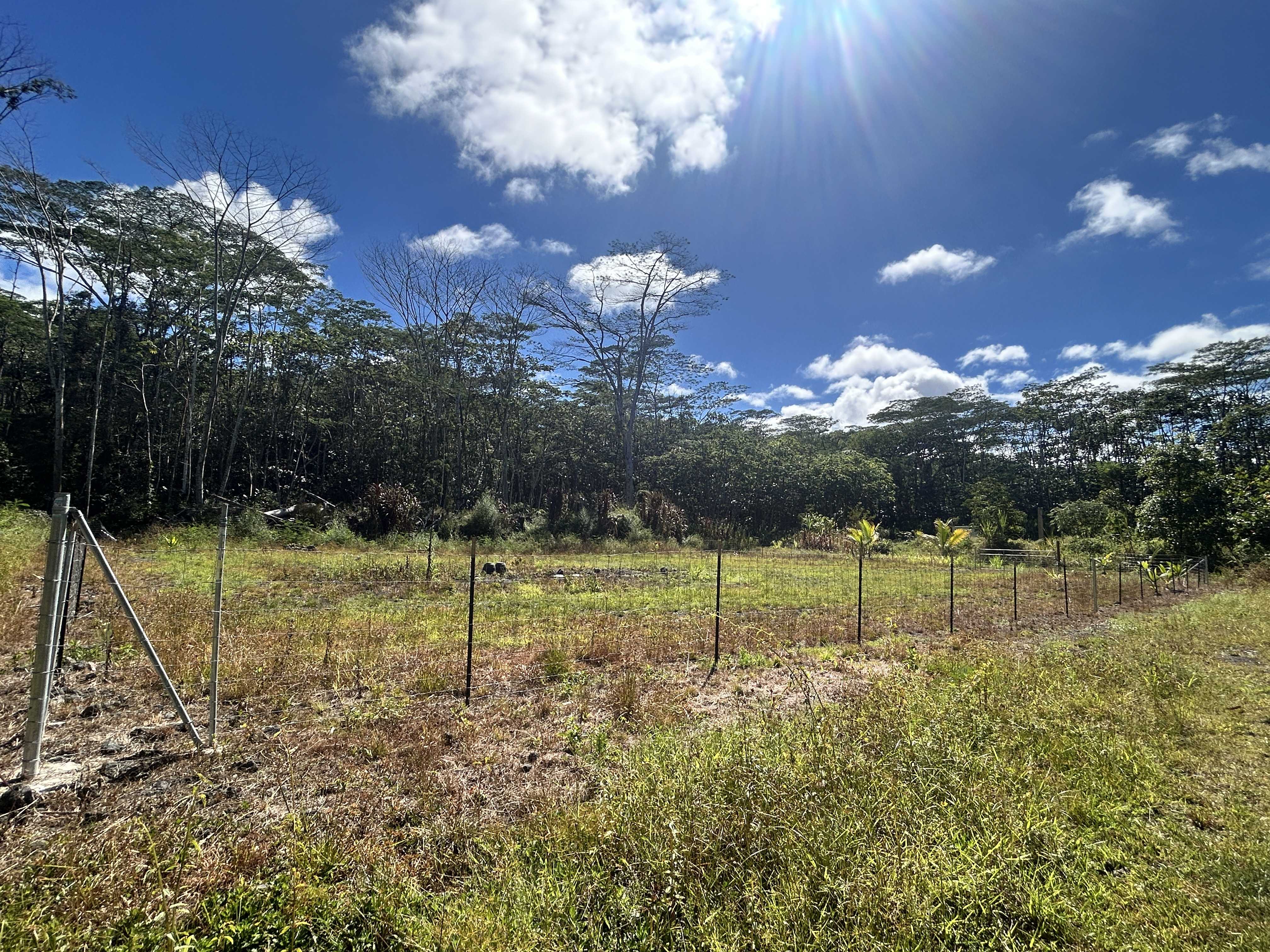 Pahoa, HI 96778,LEHUA RD