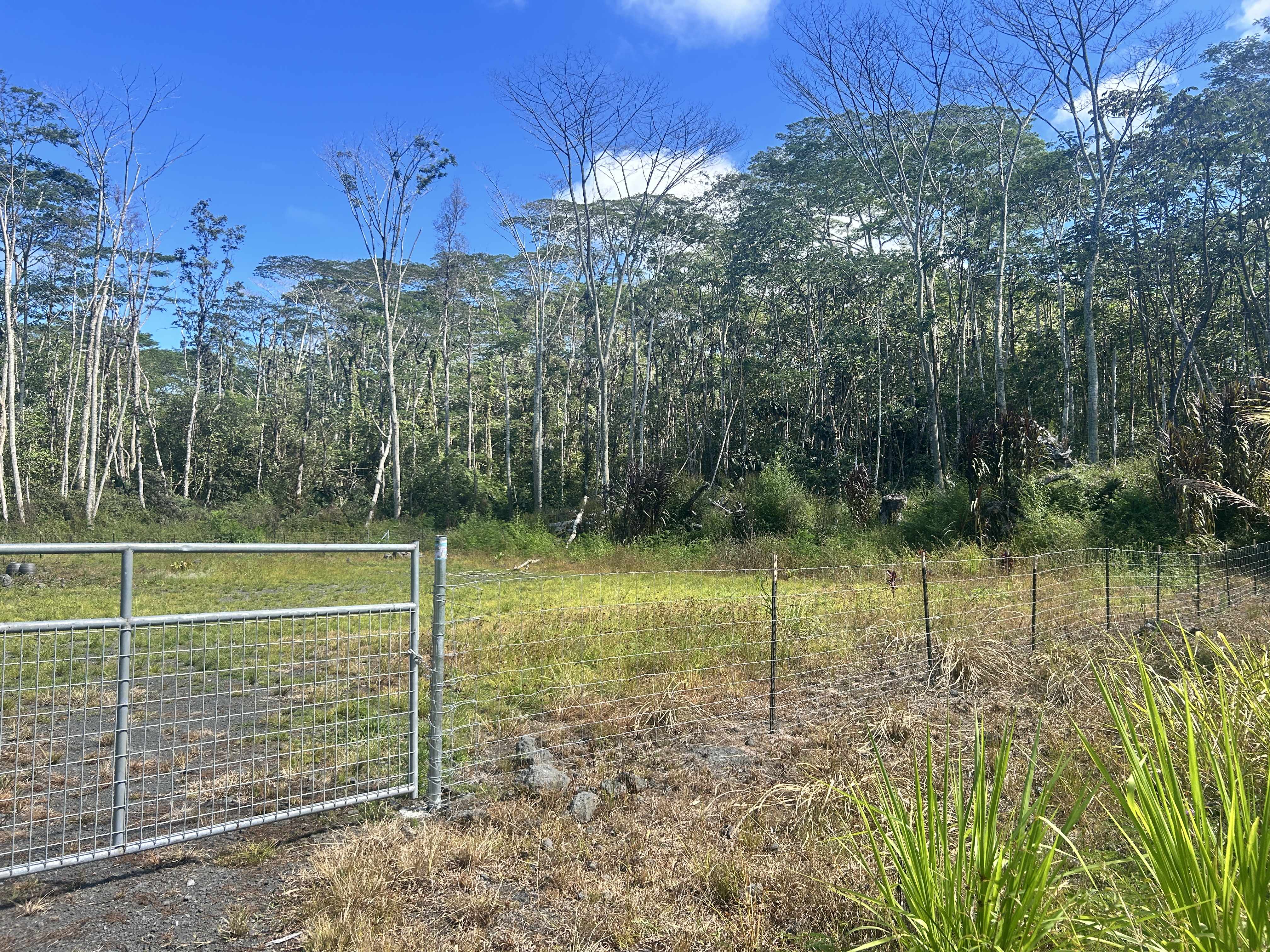 Pahoa, HI 96778,LEHUA RD