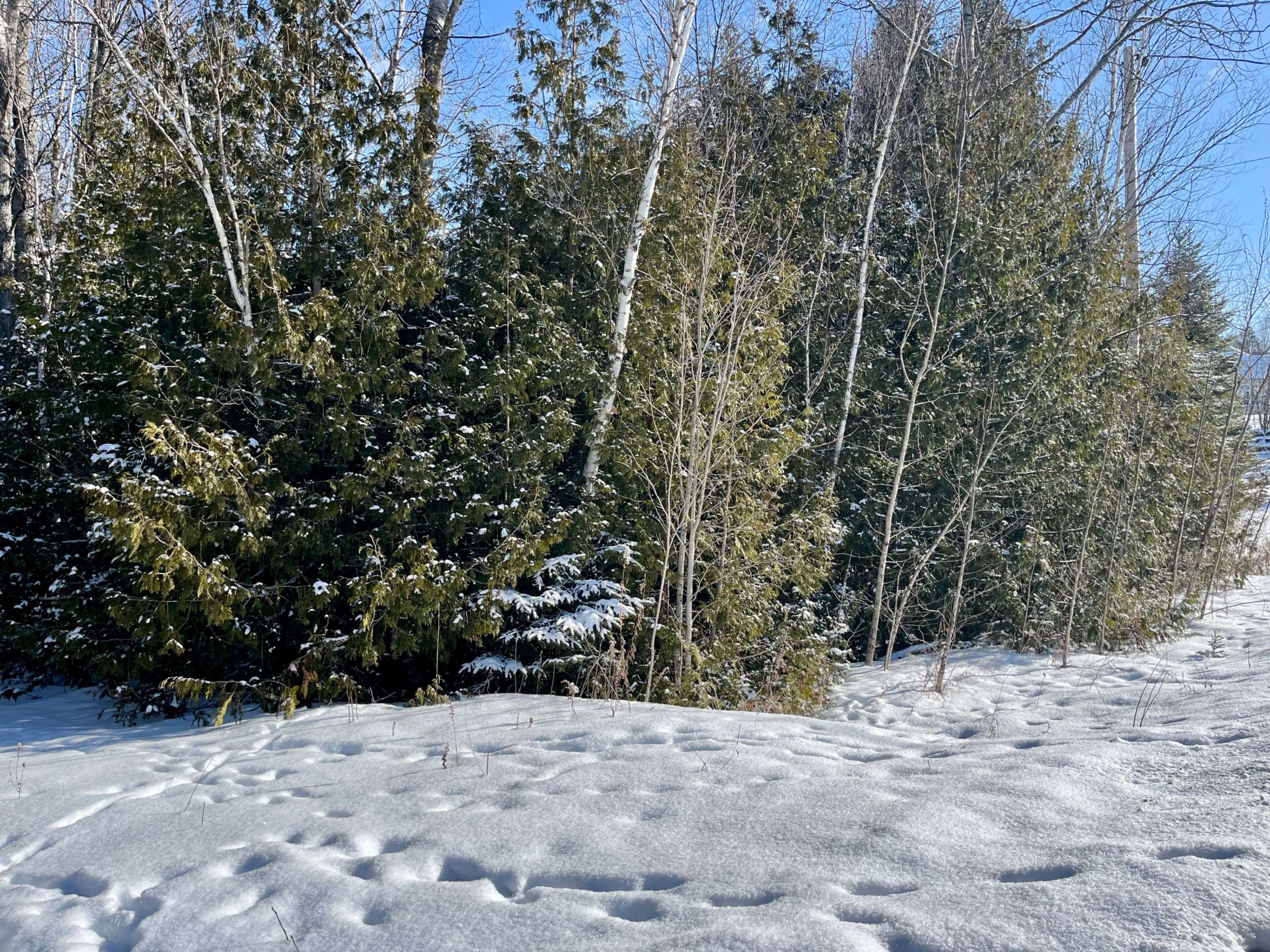 Trent Lakes, ON K9J 6X2,0 Sumcot DR