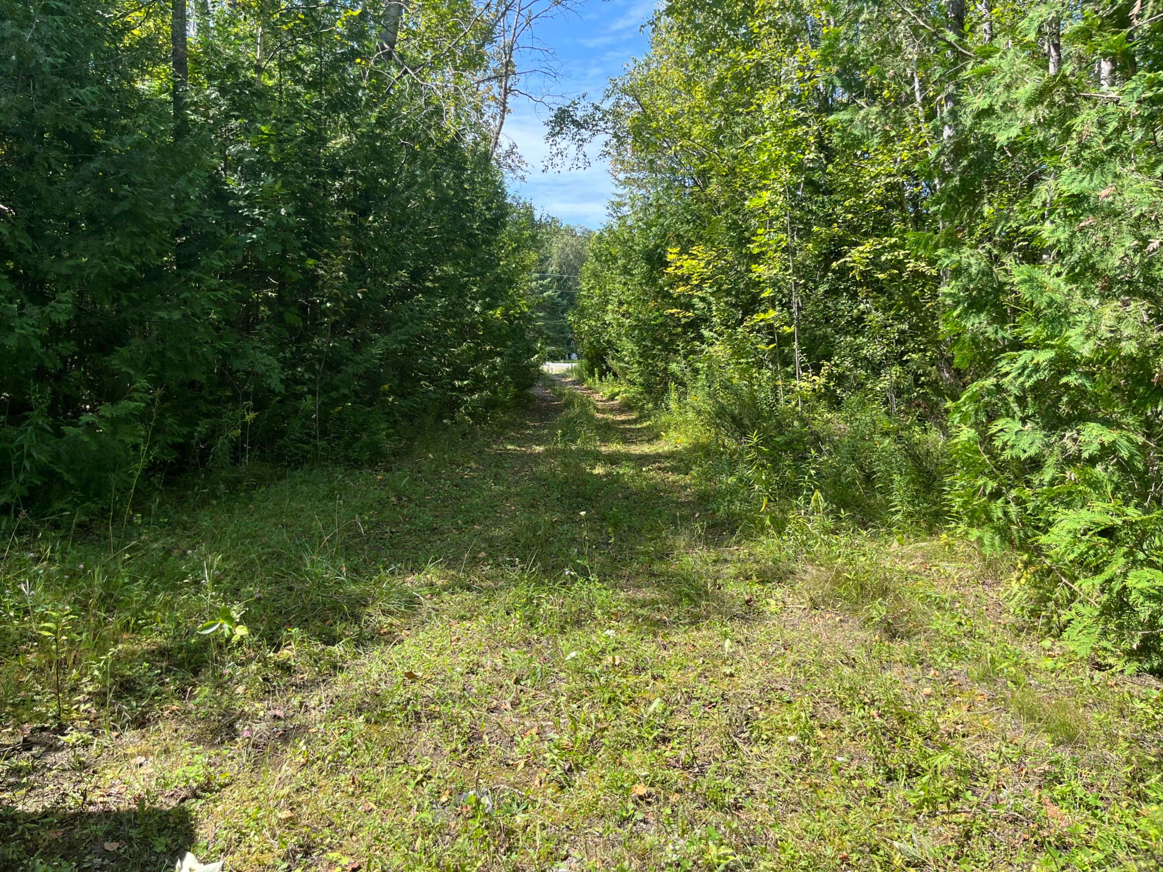 Trent Lakes, ON K9J 6X2,0 Sumcot DR