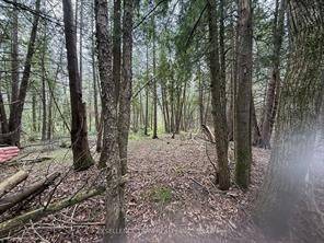 North Glengarry, ON K0C 1A0,00 Kenyon Acres N