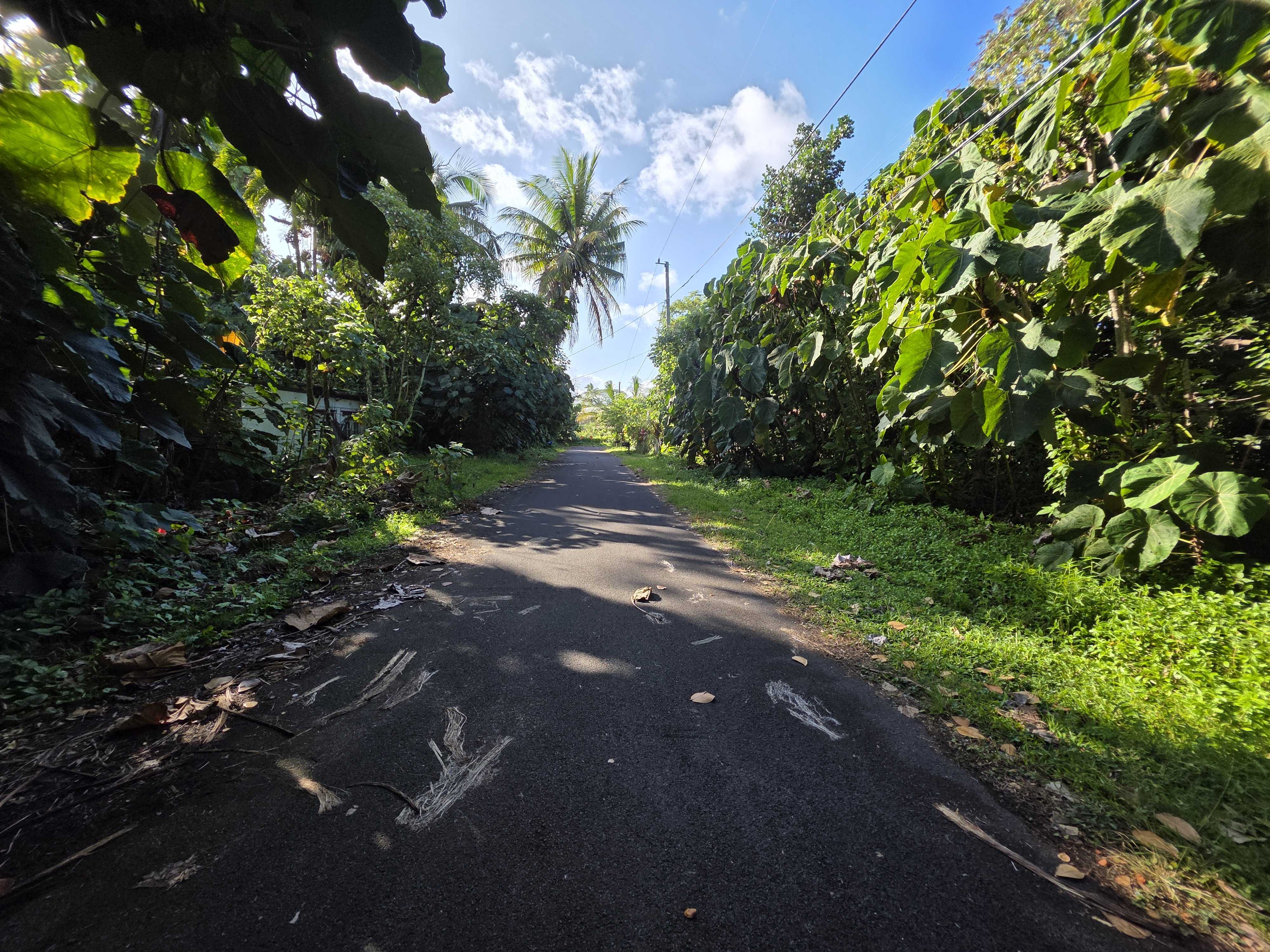 Pahoa, HI 96778,PALANI ST